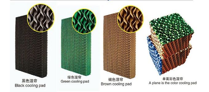 product-680-300 product-680-300