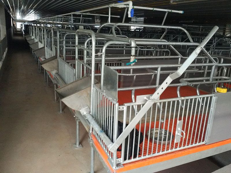 product-800-600 product-800-600