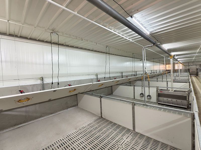 product-800-600 product-800-600