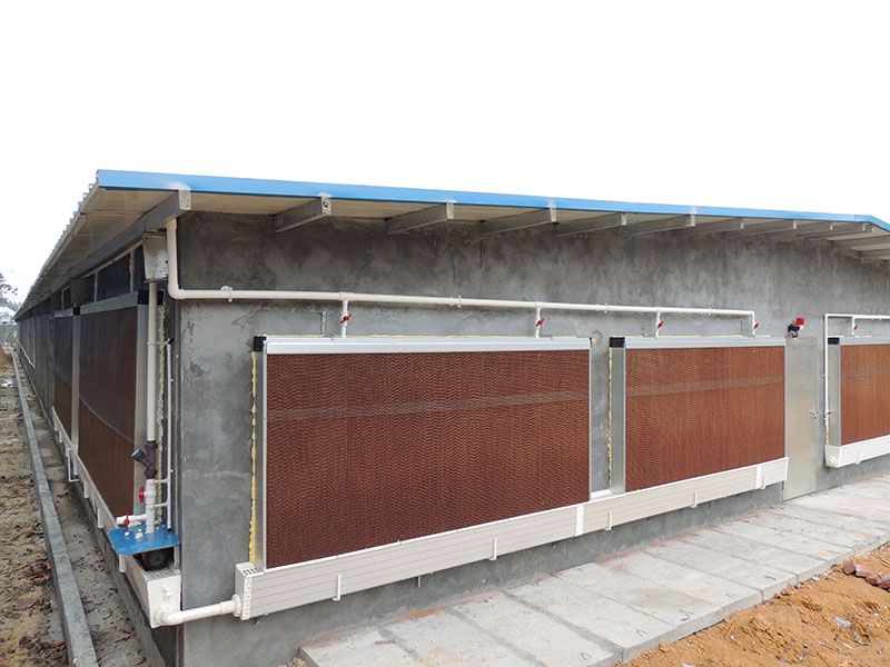 product-800-600 product-800-600