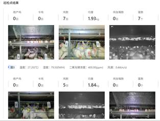 product-313-237