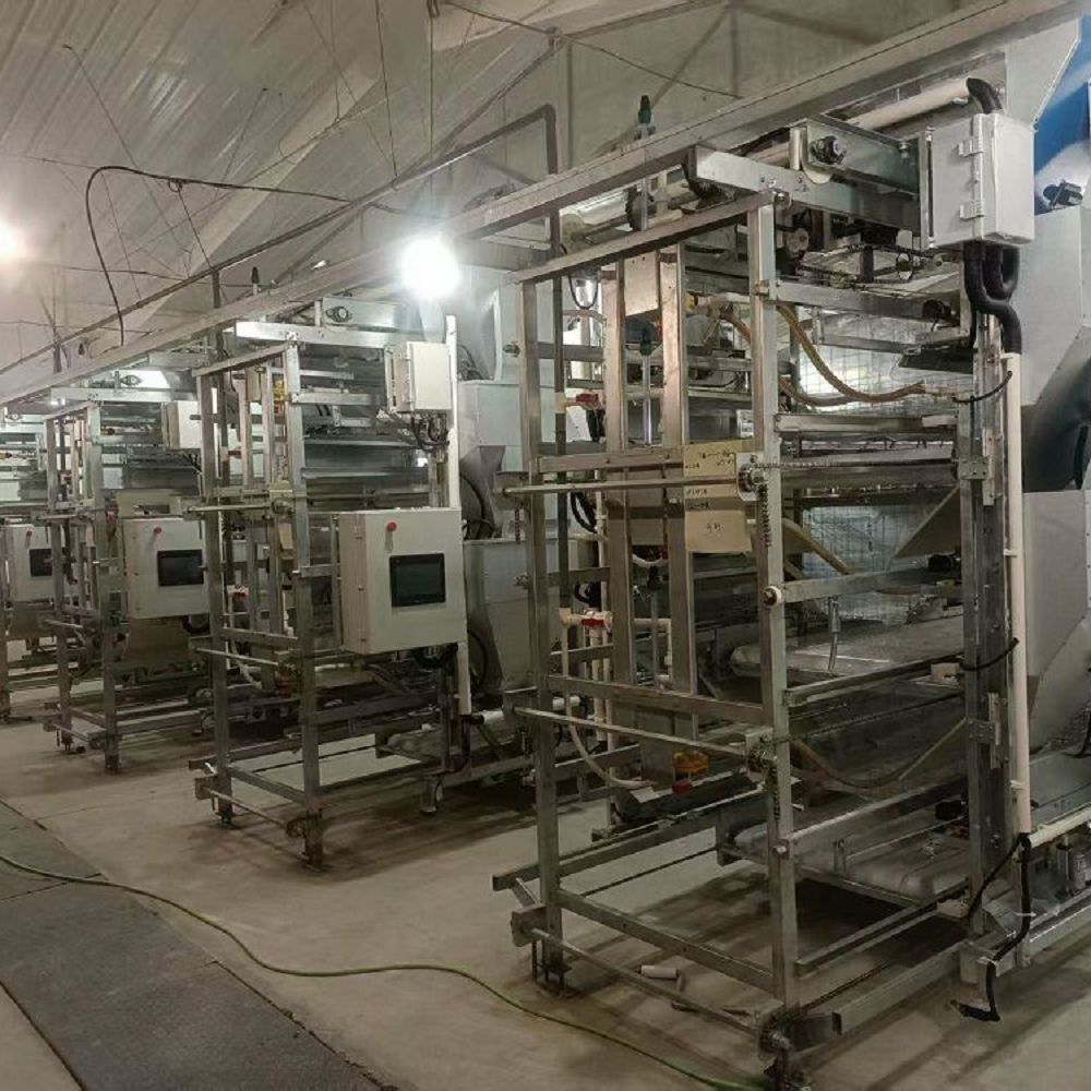 product-1000-1000 product-1000-1000