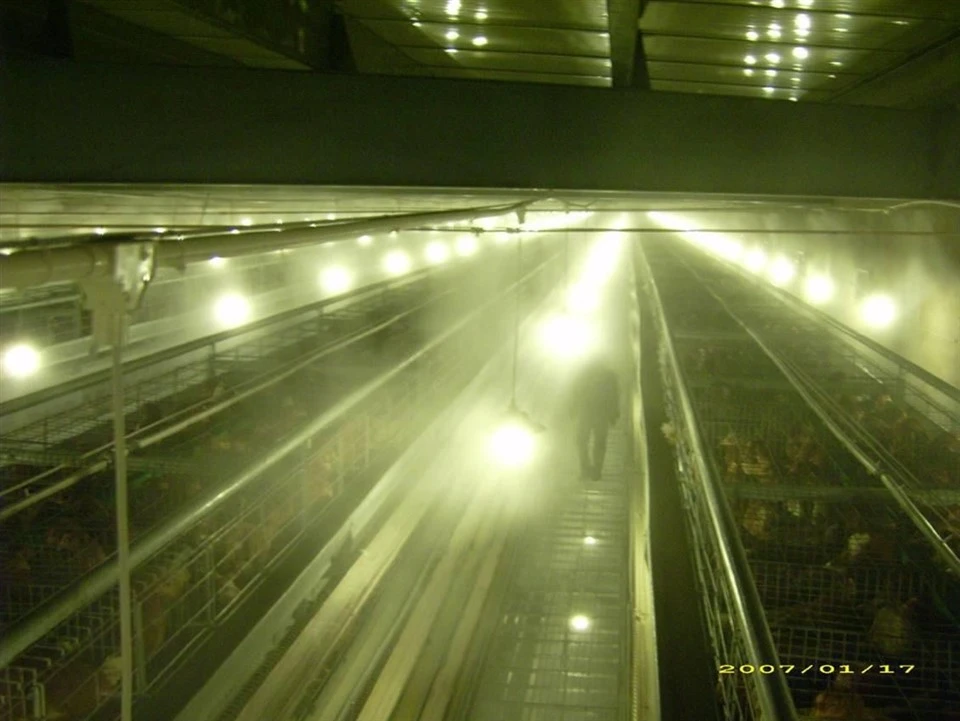 Pullet Cage Spraying System best