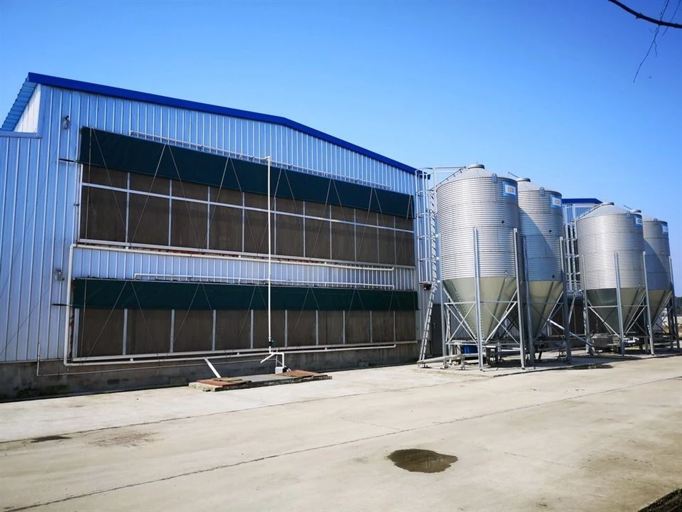 Pullet Cage Ventilation And Cooling System factory