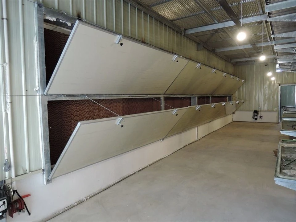 Pullet Cage Ventilation And Cooling System best