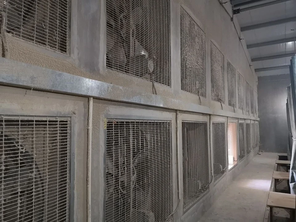 Pullet Cage Ventilation And Cooling System manufacturers