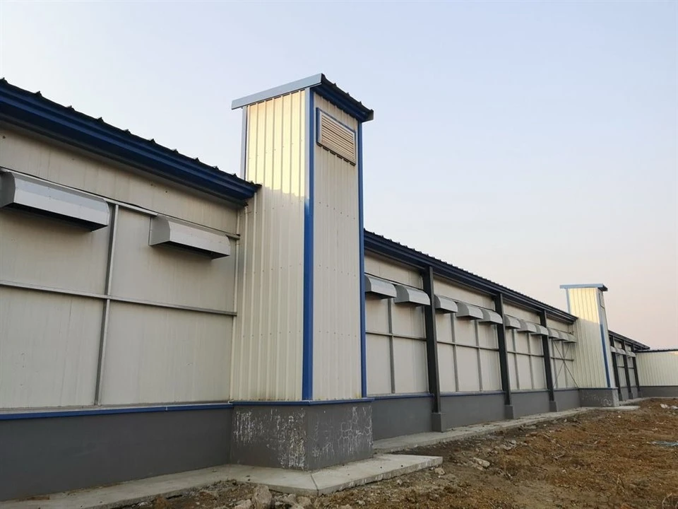 Pullet Cage Ventilation And Cooling System high quality
