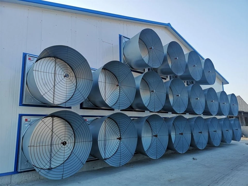 Pullet Cage Ventilation And Cooling System factory