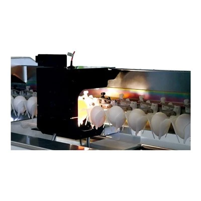 Automatic Abnormal Egg Detector