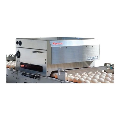 Automatic Crack Egg Detector