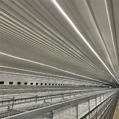 Breeder Cage Light System
