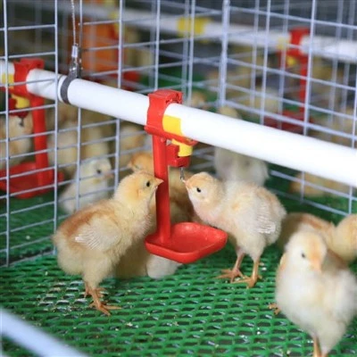 Breeder Cage Water Supply System