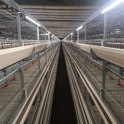 Broiler Cage Light System