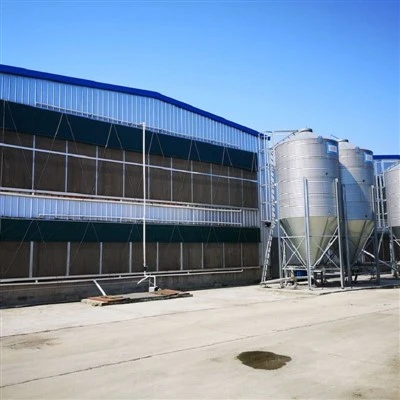 Broiler Cage Ventilation and Cooling System