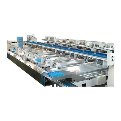 Egg Packing Equipment