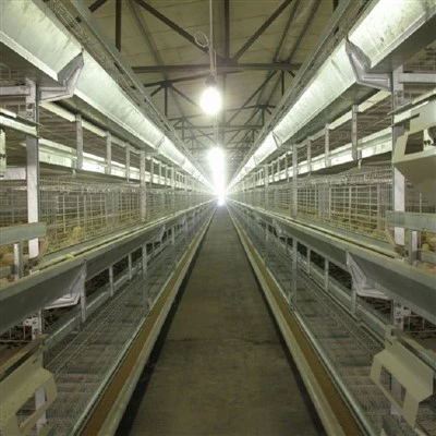 H Frame Broiler Cage