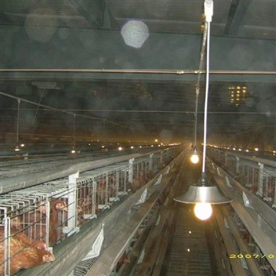 Layer Cage Spraying System