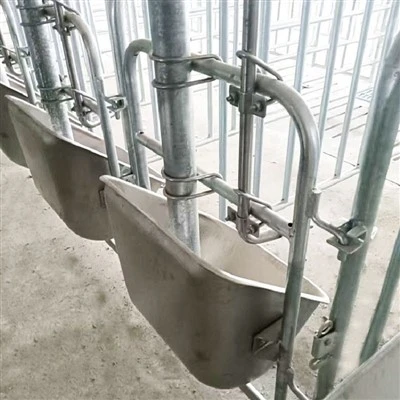 Sow Feeder