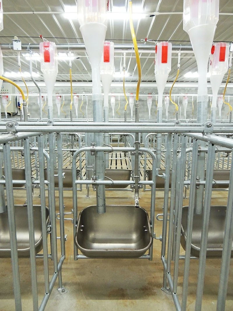 Sow Feeder factory