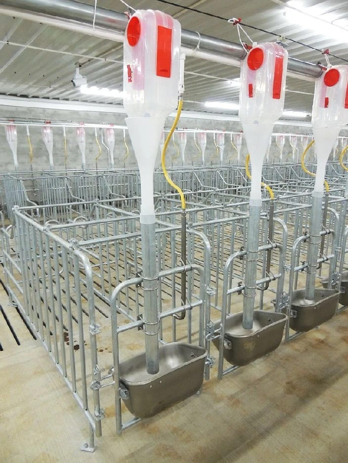 Sow Feeder best