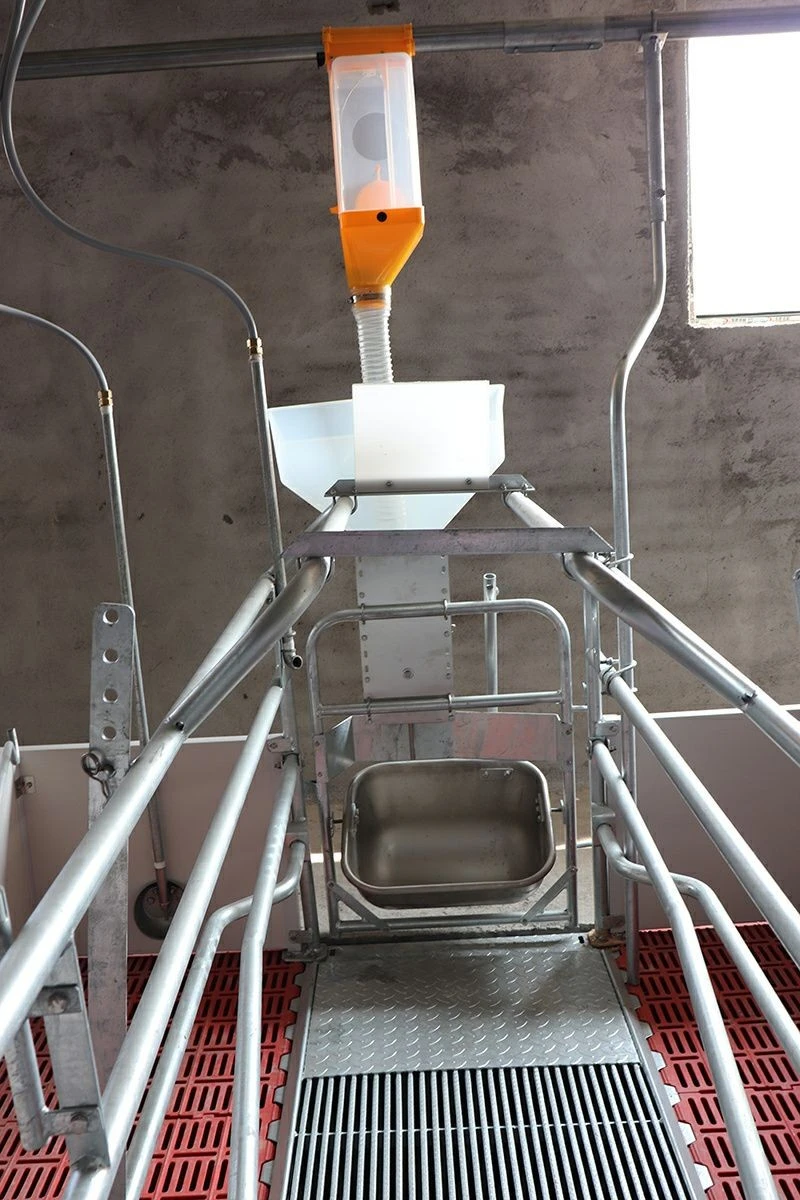 Sow Feeder high quality