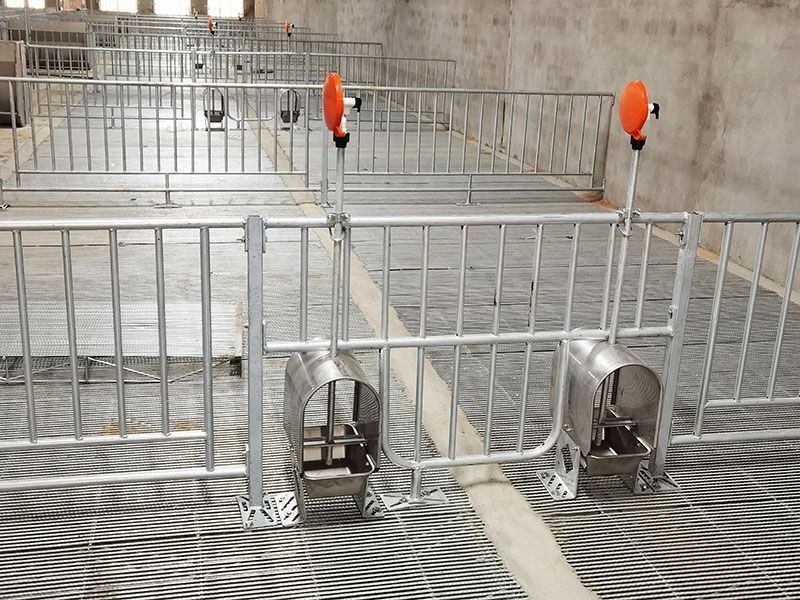 Stainless Steel Water-Saving Drinking Bowl factory