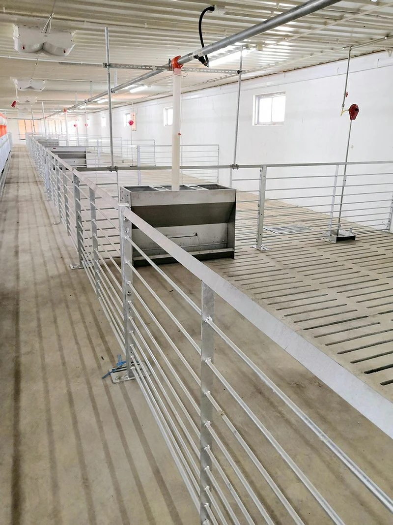 Stainless Steel Water-Saving Drinking Bowl manufacturers