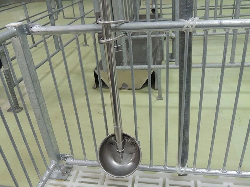 Stainless Steel Water-Saving Drinking Bowl best