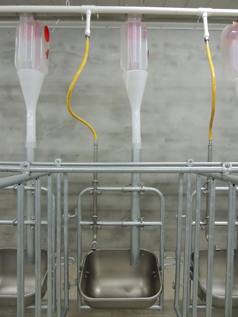Staniless Steel Nipple Drinker factory