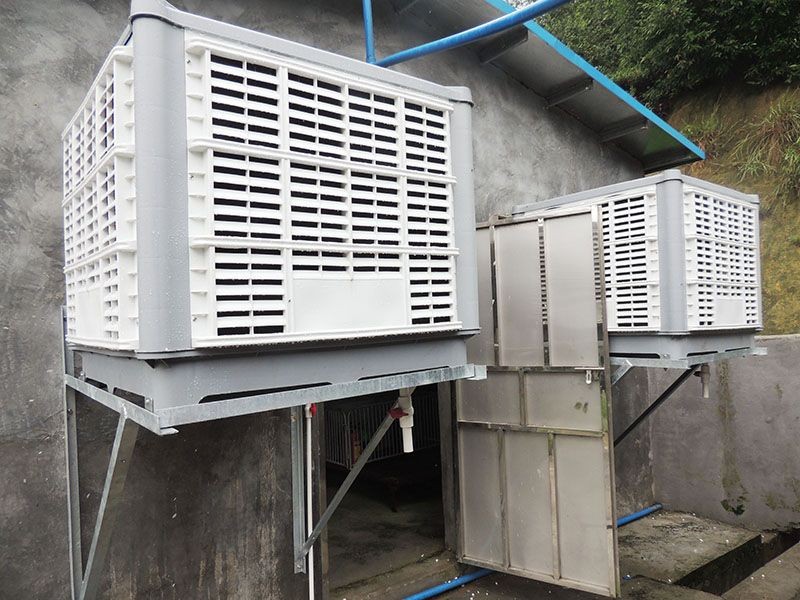 Ventilation For Pig price